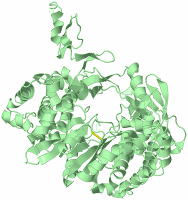 Image Biological Unit 2