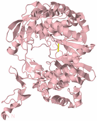 Image Biological Unit 3