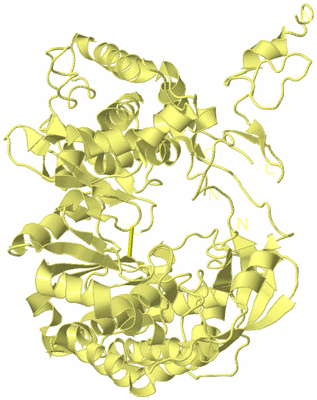 Image Biological Unit 4