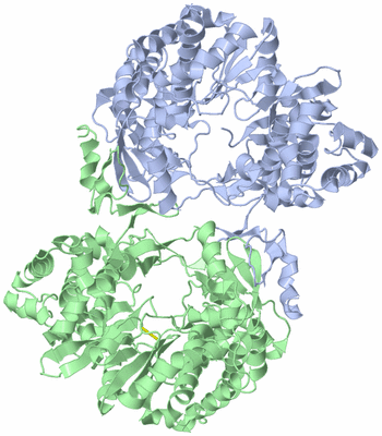 Image Biological Unit 5