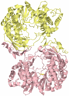 Image Biological Unit 6