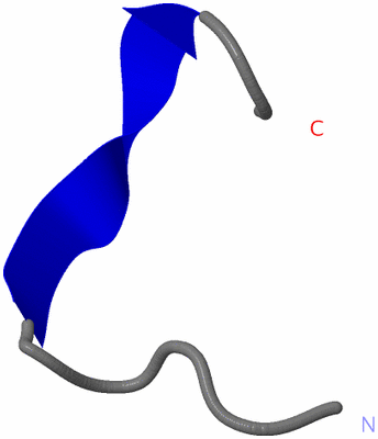 Image NMR Structure - model 1