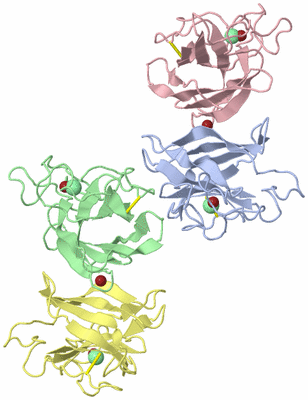 Image Asymmetric Unit