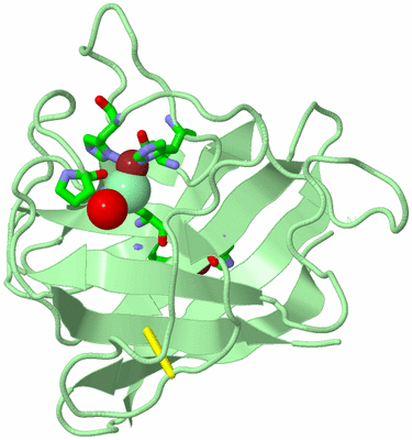 Image Biol. Unit 1 - sites