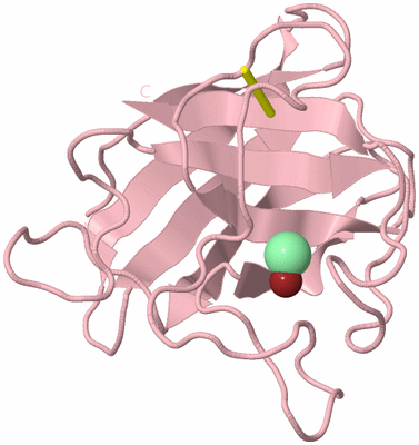 Image Biological Unit 3