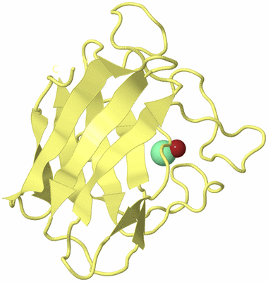 Image Biological Unit 4