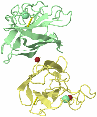 Image Biological Unit 5