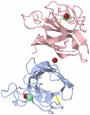 Image Biological Unit 6