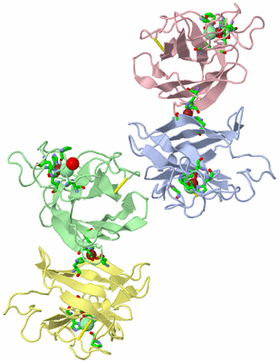 Image Asym. Unit - sites