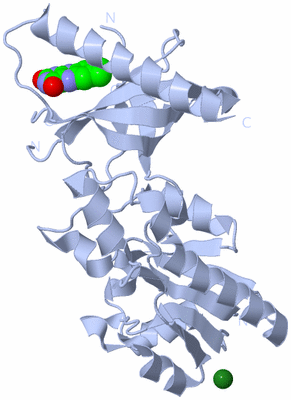 Image Biological Unit 1