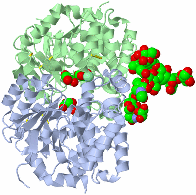 Image Asym./Biol. Unit