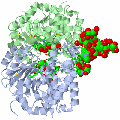 Image Asym./Biol. Unit - sites