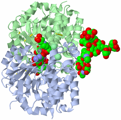 Image Asym./Biol. Unit