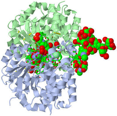 Image Asym./Biol. Unit - sites