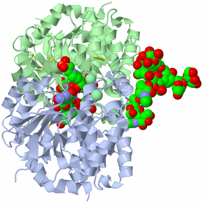 Image Asym./Biol. Unit