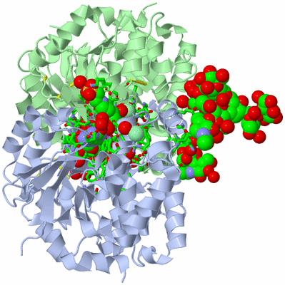 Image Asym./Biol. Unit - sites