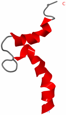 Image NMR Structure - model 1