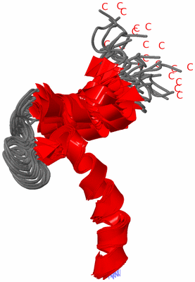 Image NMR Structure - all models