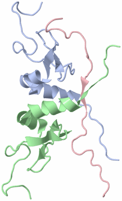 Image NMR Structure - model 1