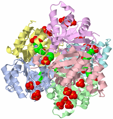 Image Biological Unit 1