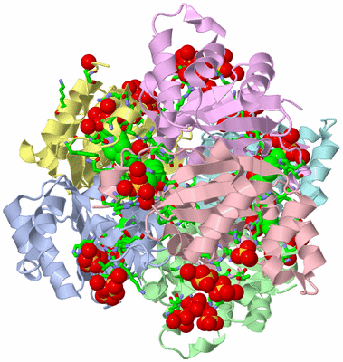 Image Biol. Unit 1 - sites