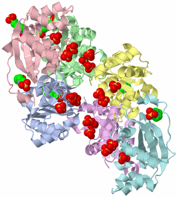 Image Biological Unit 2