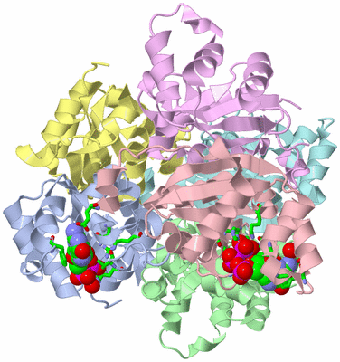 Image Asym./Biol. Unit - sites