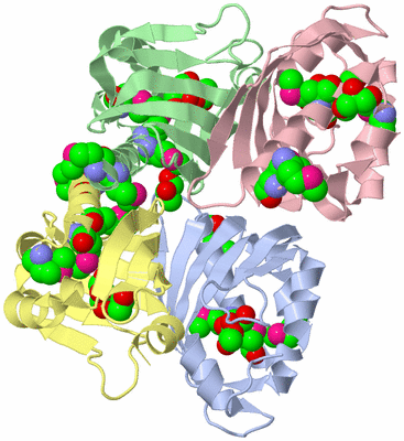 Image Asym./Biol. Unit