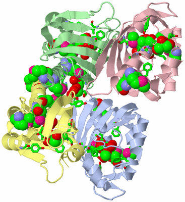 Image Asym./Biol. Unit - sites