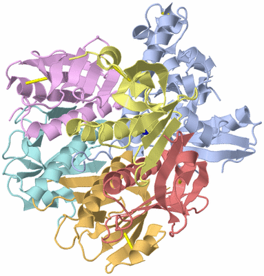 Image Asym./Biol. Unit