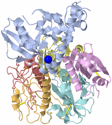 Image Asym./Biol. Unit