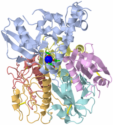 Image Asym./Biol. Unit - sites