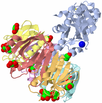Image Asym./Biol. Unit