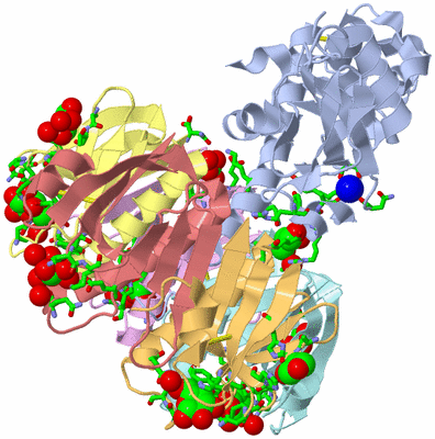 Image Asym./Biol. Unit - sites