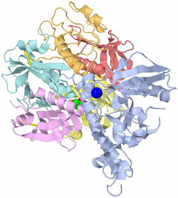 Image Biological Unit 1