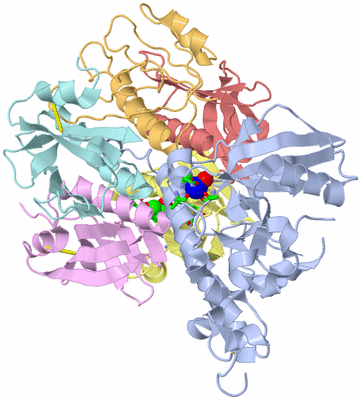 Image Biol. Unit 1 - sites