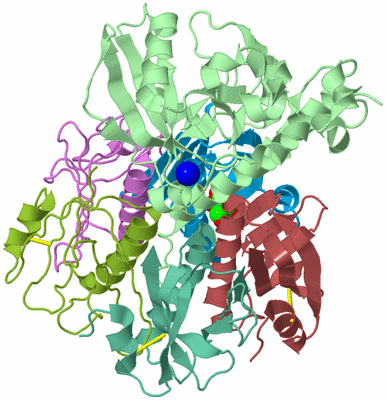 Image Biological Unit 2