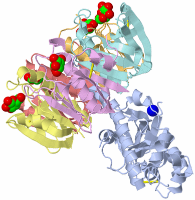 Image Biological Unit 1