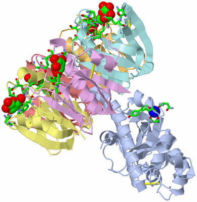 Image Biol. Unit 1 - sites