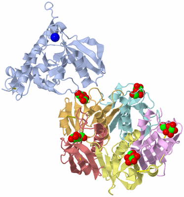 Image Biological Unit 2