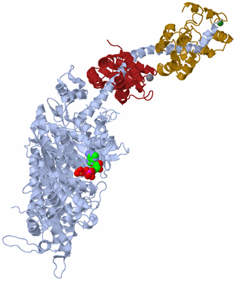 Image Asym./Biol. Unit