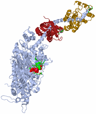 Image Asym./Biol. Unit - sites