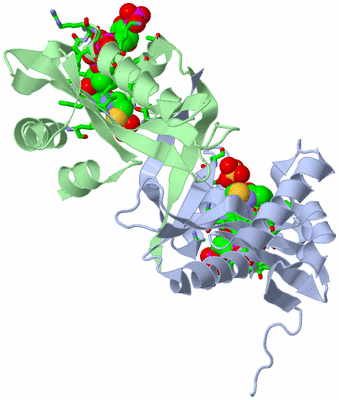 Image Asym./Biol. Unit - sites