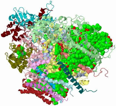 Image Biological Unit 1