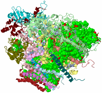 Image Biol. Unit 1 - sites