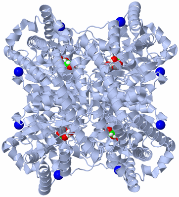 Image Biological Unit 1