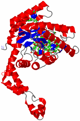 Image Asym. Unit - sites