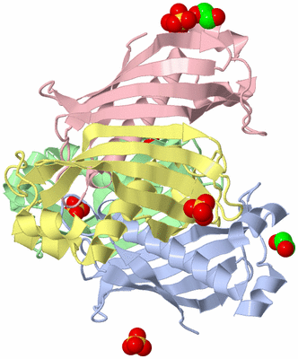 Image Biological Unit 1