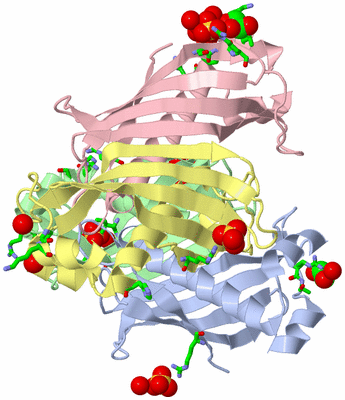 Image Biol. Unit 1 - sites