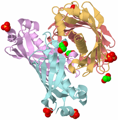 Image Biological Unit 2
